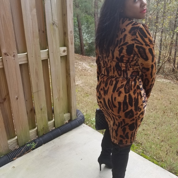 Leopard Velvet Dress - Picture 4 of 8